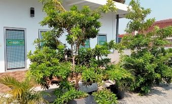 OYO Life 90678 Omah Kulo Guest House