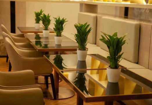 Echarm 호텔 객실