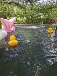 梵谷·莫幹山法式莊園私湯民宿 - 溫泉