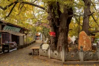 Ginkgo Village Leaf-Picking Inn 은행촌 호텔