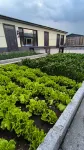 Pusu Homestay (Tangwang County)