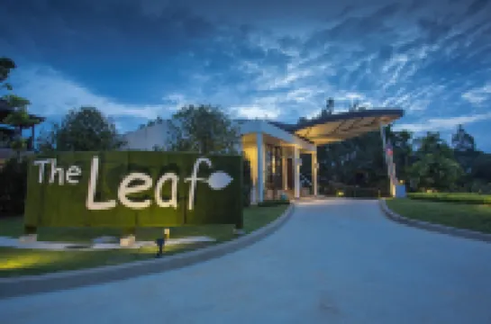 The Leaf on the Sands by Katathani