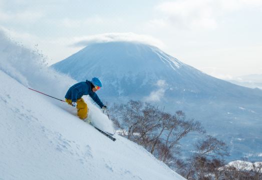 히가시야마 리츠-칼튼의 요테이산 전망