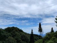 天台山陌上山居 - 花园