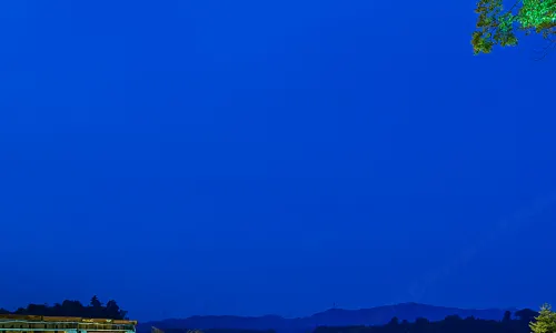 Floral Hotel·Wuyi Shandu Ancient Ship Wood Hot Spring Hotel