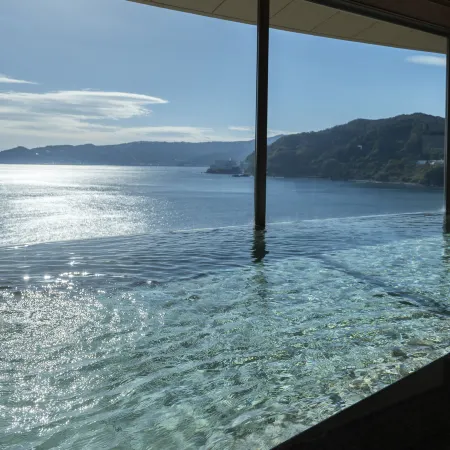 Hotel New Akao