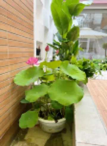 紹興清瀾·米舍民宿（魯迅故里金帝銀泰城店）