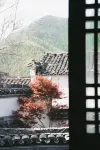 禪語棲苑民宿（盧村店） - 山景