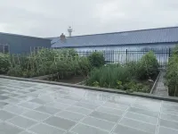 Xinsu Elegant Residence - Pet friendly