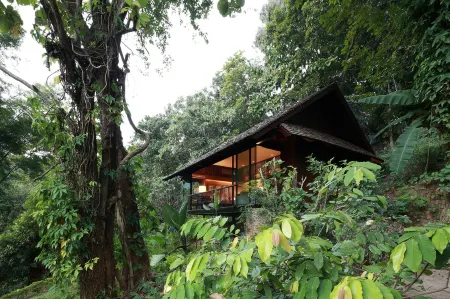 Vanilla Hill (Hill Lodge)