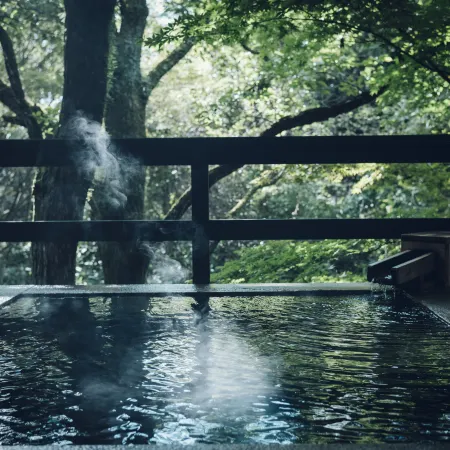 Hoshino Resorts Kai Aso