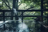 โฮชิโนะ รีสอร์ท ไค อะโซ - น้ำพุร้อน