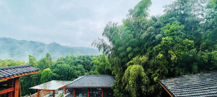 蜀南竹海景逸別苑·精品民宿 長寧住宿飯店