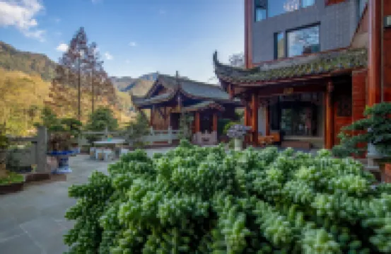 Qingcheng Mountain Villa · Hot Spring Holiday Villa