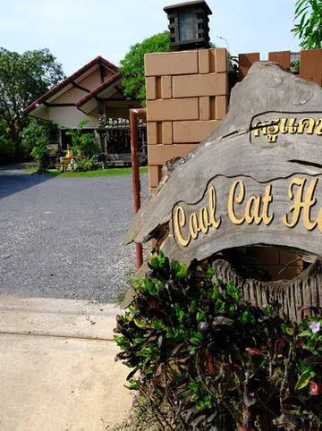 รูปภาพของCool Cat House ครูแคทเฮาส์