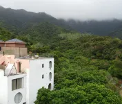 深圳遠山森林美宿 深圳技術大學附近的飯店