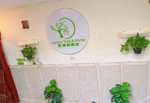 Lemon Tree & Home 2 객실