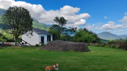 Meet Mofan Hostel