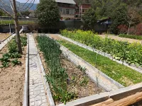 Tuojian Leisure Farm in Yuexi County - Farmhouses