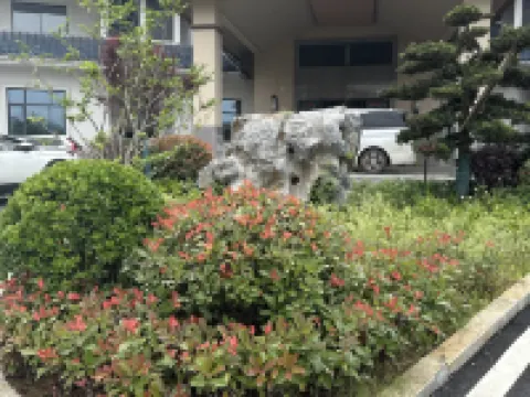Shuanglong Yinlin Hotel Hotels in Fenyi