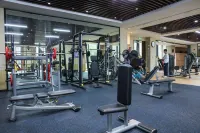 HansWishi Hotel Weifang - Gym