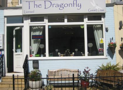 The Dragonfly