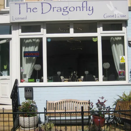 The Dragonfly