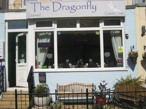 The Dragonfly
