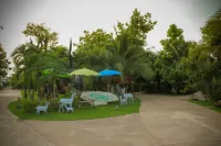Big Tree Resort - Family