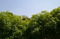 Dayi Jingshi Homestay