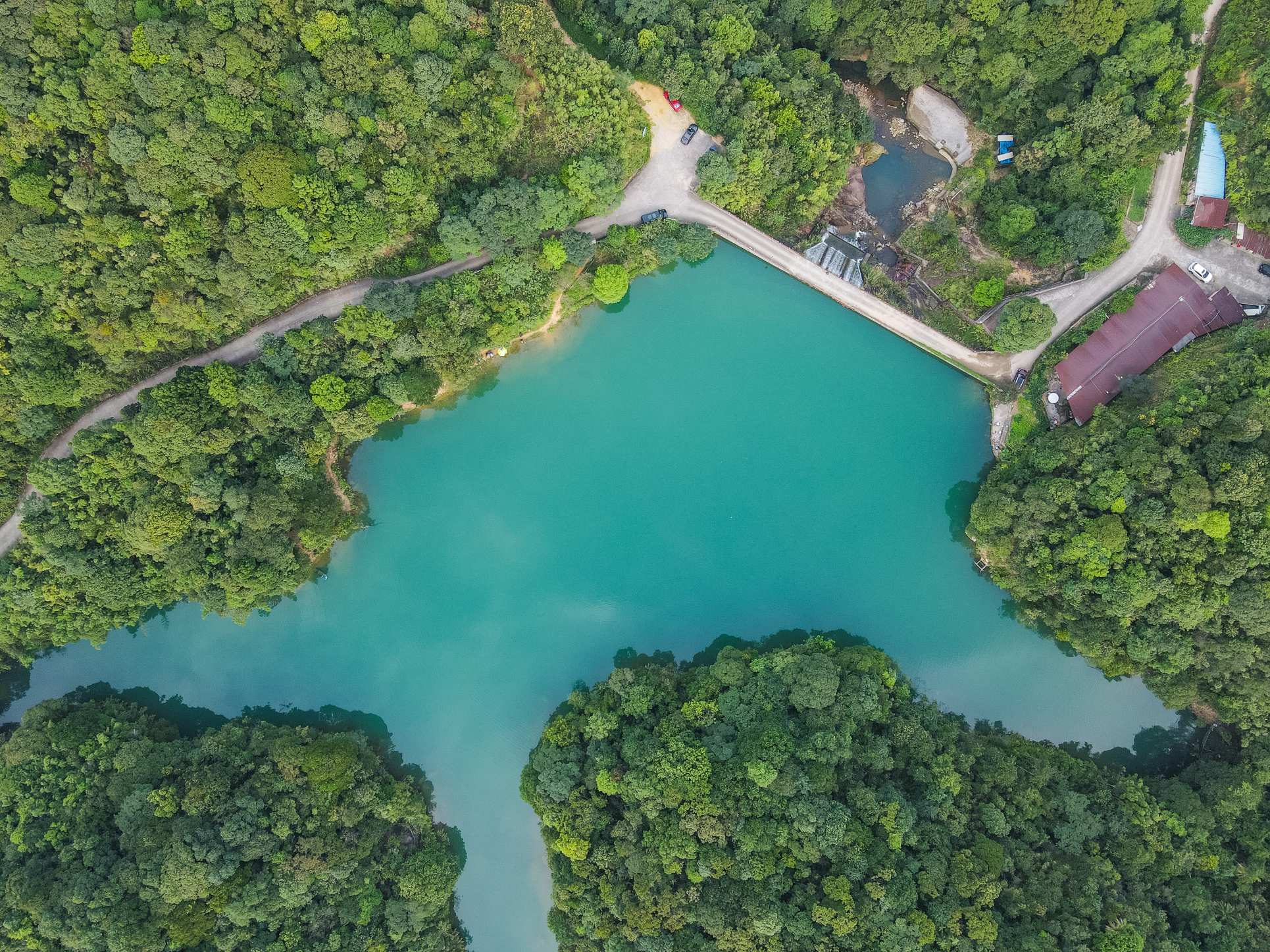 Utop Primeval Forest Resorts Over view