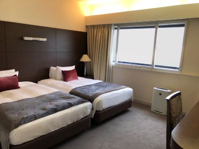 デラックススイート(禁煙) アートホテル成田の写真