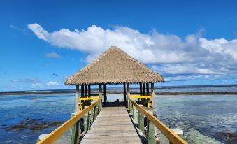 Pacific Paradise Villa