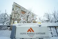 Olive Grand View , Hotel Hotels near Igloo stay sethan