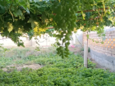 Yitian Park Su Homestay (Moon Village Branch) Các khách sạn ở Mori