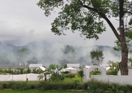 Tianjia Mo Shangyin Homestay (Yuxijiang Branch) Отели рядом с достопримечательностью «Lishui Ancient Street»