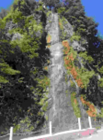 麥積山熊二農家樂