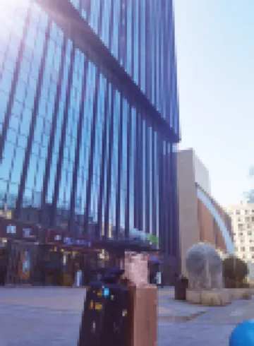 Black Plastic Disc Designer Art Hotel (Lanzhou Central Provincial Maternity and Child Store)