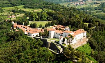 aerial view of a castle surrounded by green fields and trees , with a town visible in the distance at Hotel Marina