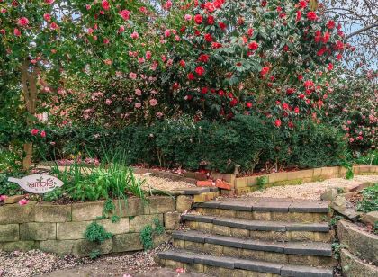 Amble at Hahndorf