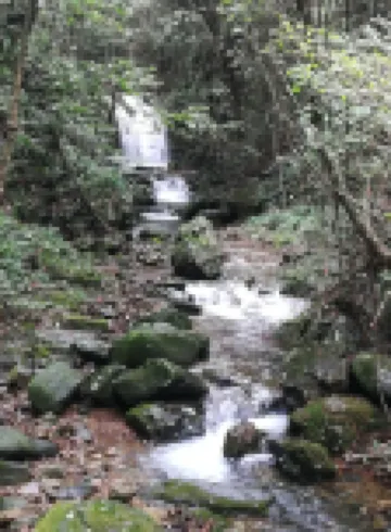 Ningguo Xianghe Farm Stay