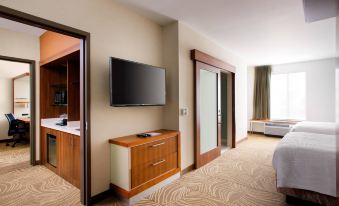 SpringHill Suites by Marriott Los Angeles Burbank/Downtown