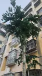 Pig House Homestay - Bãi biển