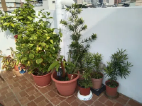 帰家民宿 旗津区周辺のホテル