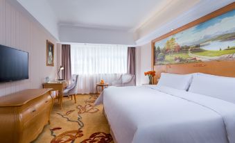 Vienna Hotel (Shenzhen Luohu Port Railway Station)