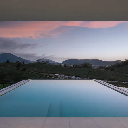 Weichi · Xinchi Cherry Blossom Valley Vacation Apartment