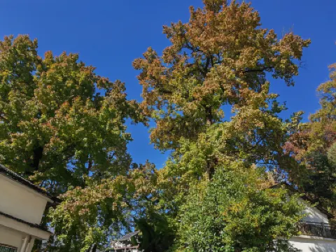 楓吟小境·Petrichor環山觀景·團隊轟趴Villa美宿（紅葉指南店） 鄰近古井漣漪的酒店