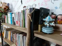 the Three Youth Hostel