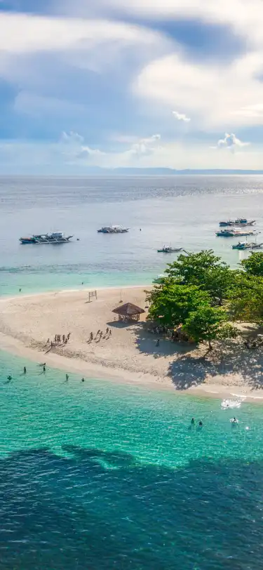 菲律賓中米沙鄢的寵物友善酒店