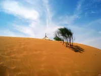 Zhongwei Tengger Desert Seeking Secret Camping Hotel